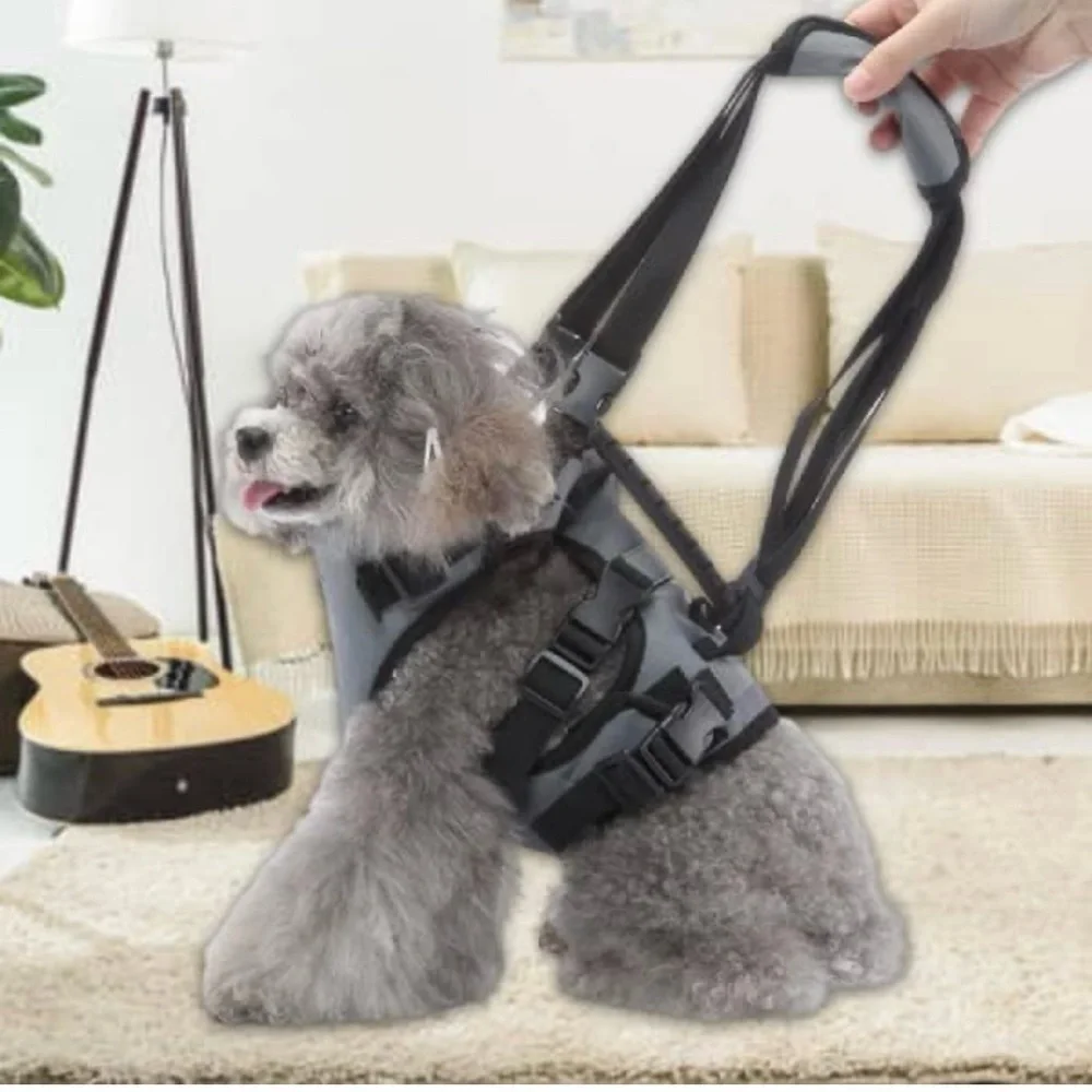 Dog Harness Harness Vest, Soft No Choke Escape Proof Harness and Leash Set S